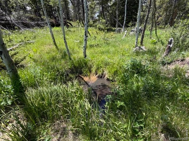 115 Wenro Ct, Red Feather Lakes, CO 80545