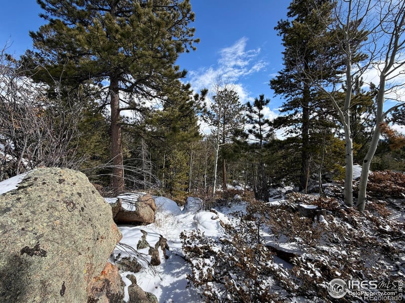 115 Wenro Ct, Red Feather Lakes, CO 80545