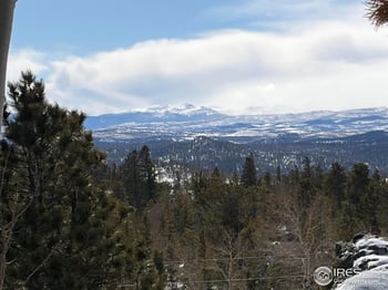 115 Wenro Ct, Red Feather Lakes, CO 80545