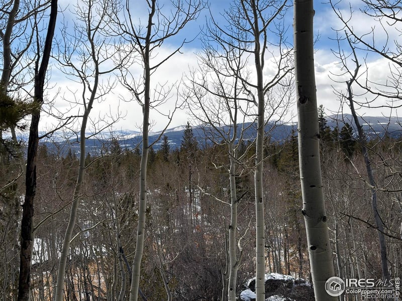 115 Wenro Ct, Red Feather Lakes, CO 80545