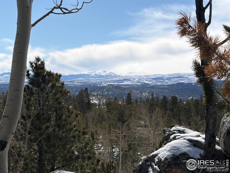 115 Wenro Ct, Red Feather Lakes, CO 80545