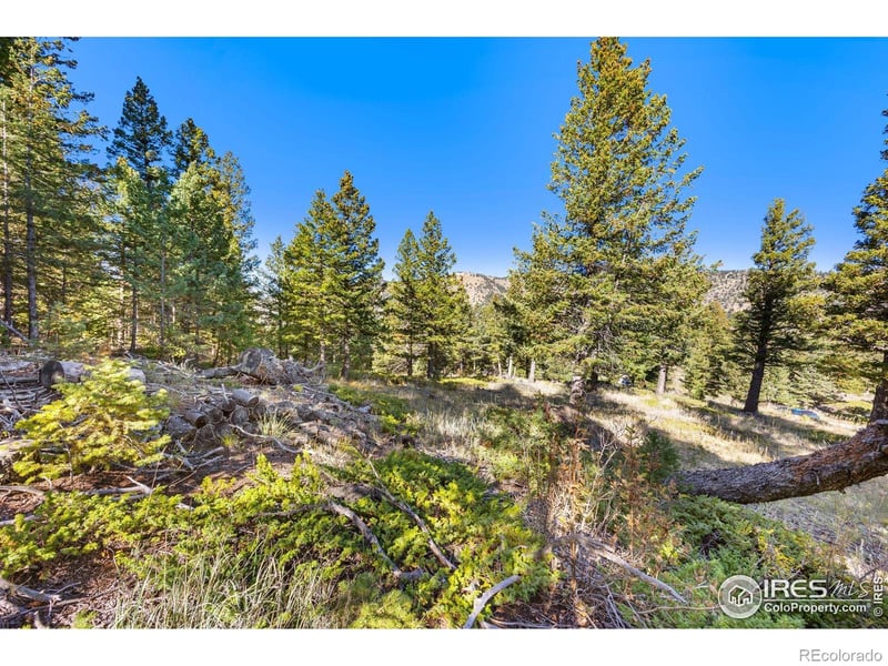 323 Roxbury Dr, Boulder, CO 80302