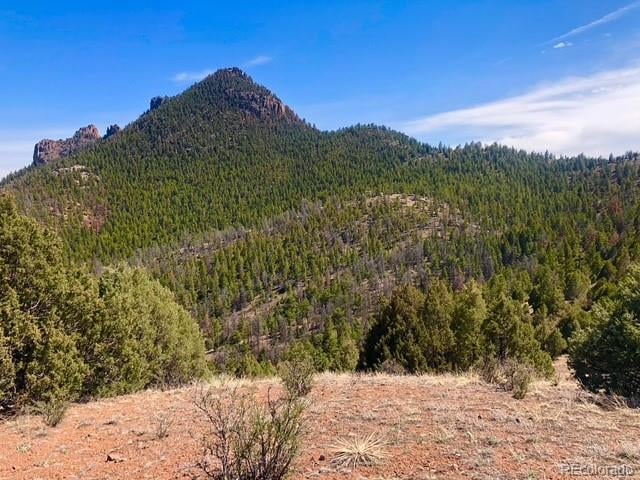 Tbd Cathedral Trl, Conifer, CO 80433