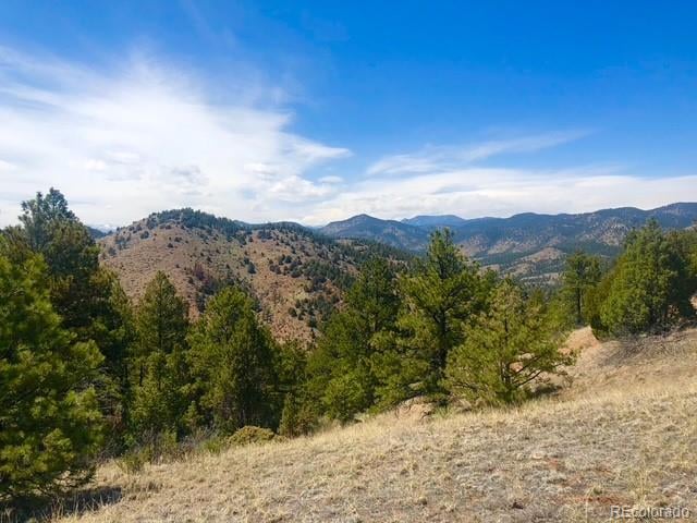 Tbd Cathedral Trl, Conifer, CO 80433