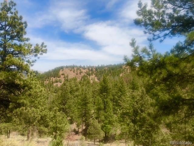 Tbd Cathedral Trl, Conifer, CO 80433