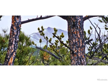 12190 Highway 7 , Allenspark, CO 80510