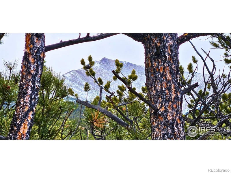 12190 Highway 7 , Allenspark, CO 80510