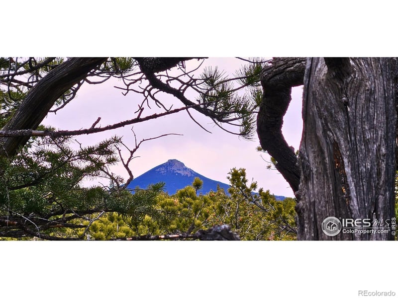 12190 State Highway 7, Allenspark, CO 80510