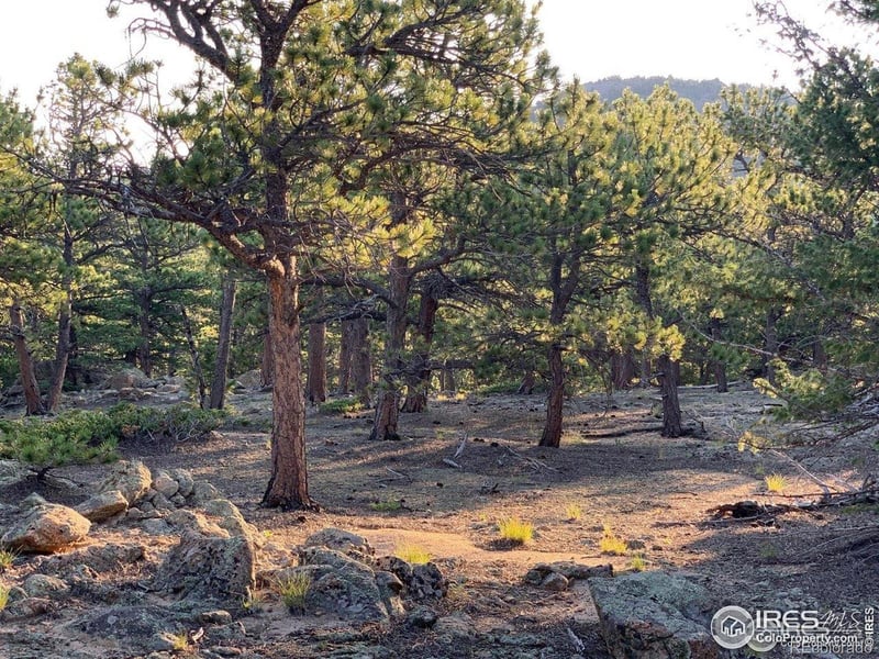 12190 State Highway 7, Allenspark, CO 80510