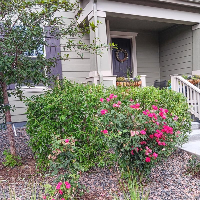 1154 Anker Dr, Erie, CO 80516