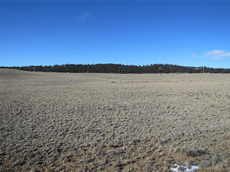 642 Margaret Pl, Hartsel, CO 80449