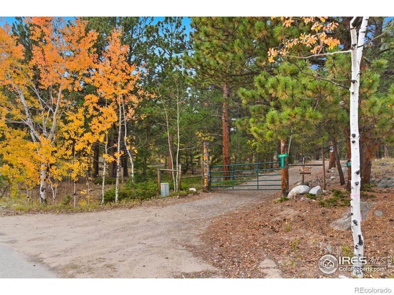 County Road 84, Allenspark, CO 80510