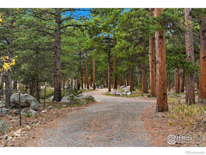 County Road 84, Allenspark, CO 80510
