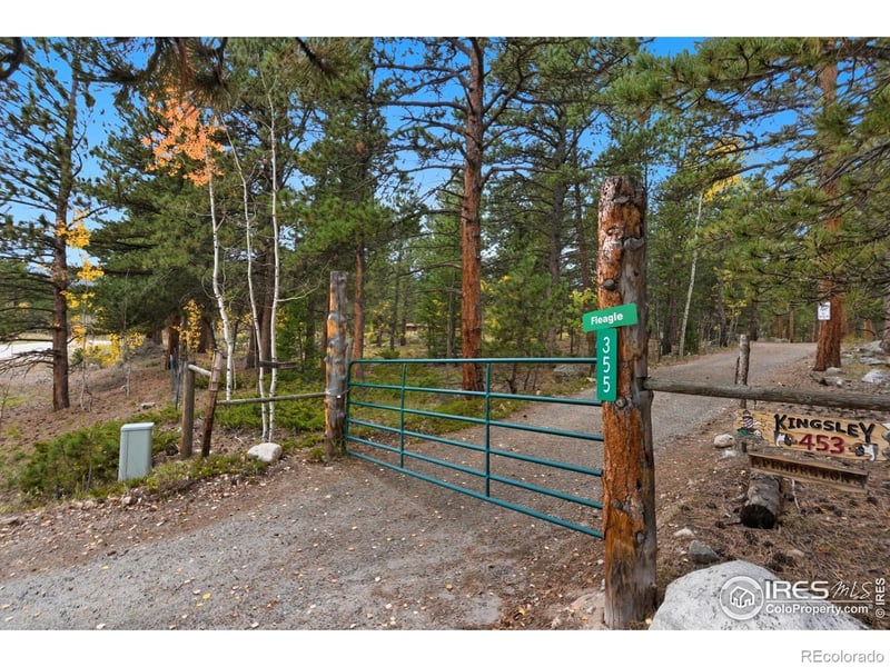County Road 84, Allenspark, CO 80510