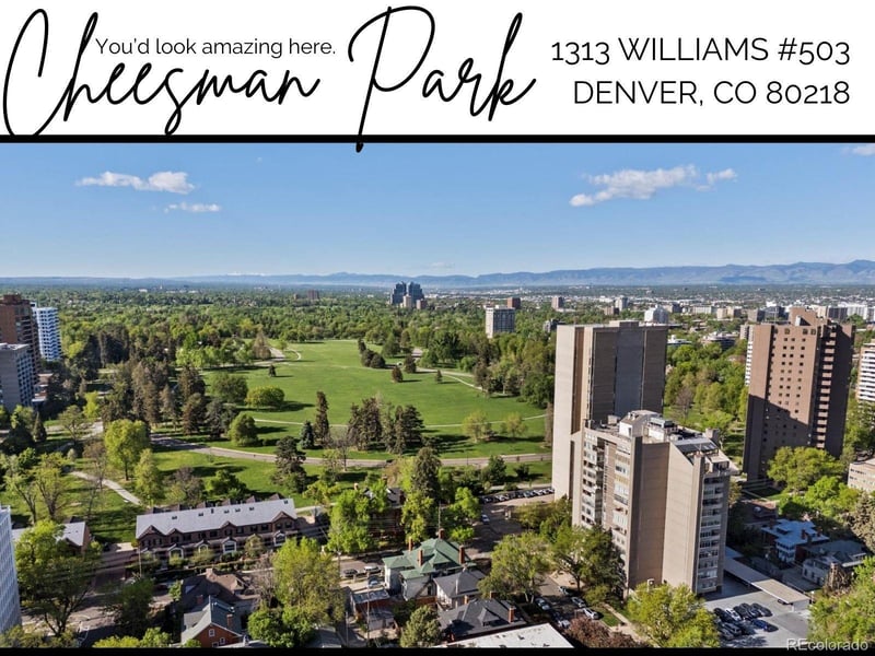 1313 N Williams St #503, Denver, CO 80218