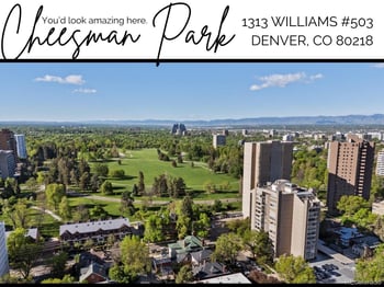 1313 Williams St #503, Denver, CO 80218