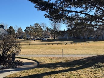 2448 Victor St #D, Aurora, CO 80014