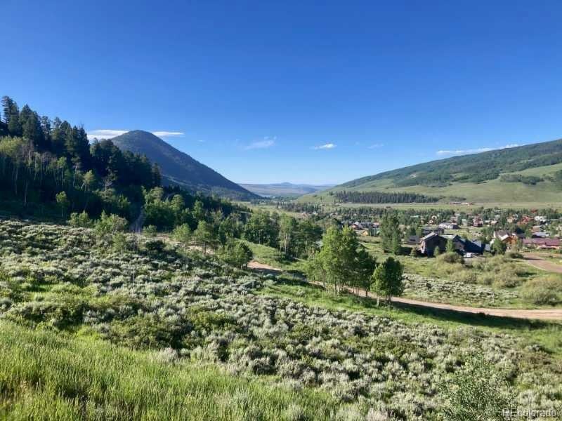 78 Janet Pl, Crested Butte, CO 81224