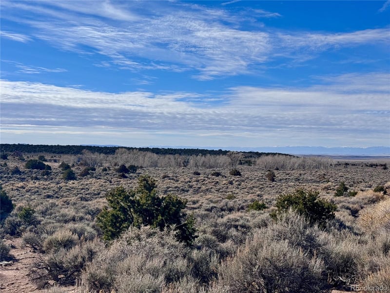 lot 663 Slegers Rd, Fort Garland, CO 81133