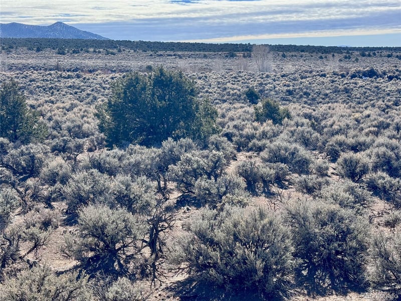 lot 663 Slegers Rd, Fort Garland, CO 81133