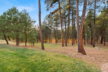 17507 Colonial Park Dr, Monument, CO 80132