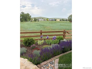 1033 Zodo Ave, Erie, CO 80516