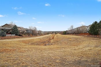 16787 Black Horn Dr, Parker, CO 80134