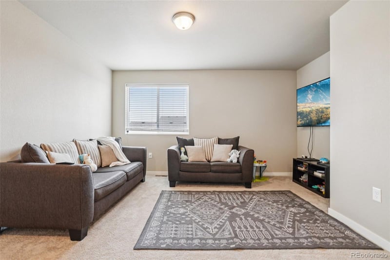 3774 Beech Tree St, Wellington, CO 80549