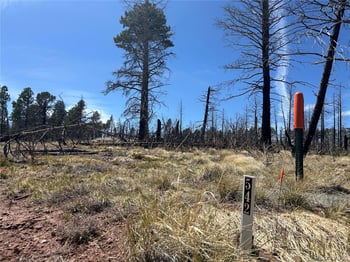 lot 542 Forbes Pk, Fort Garland, CO 81133