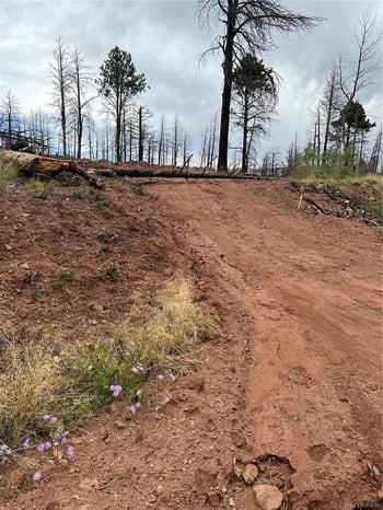 lot 542 Forbes Pk, Fort Garland, CO 81133