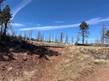 lot 542 Forbes Pk, Fort Garland, CO 81133