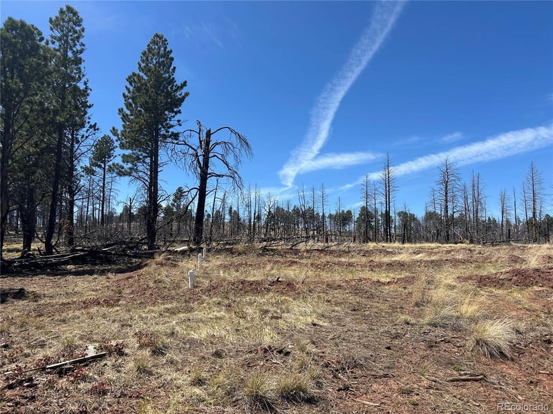 lot 542 Forbes Pk Lot 542, Fort Garland, CO 81133