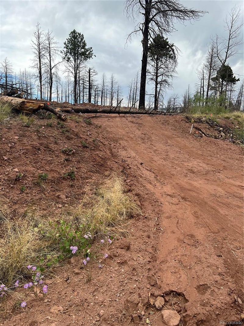 lot 542 Forbes Pk Lot 542, Fort Garland, CO 81133