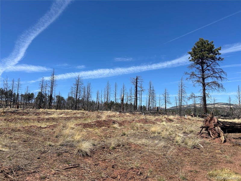 lot 542 Forbes Pk Lot 542, Fort Garland, CO 81133
