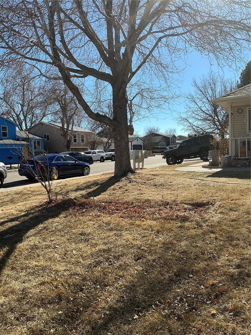 14574 Andrews Dr, Denver, CO 80239