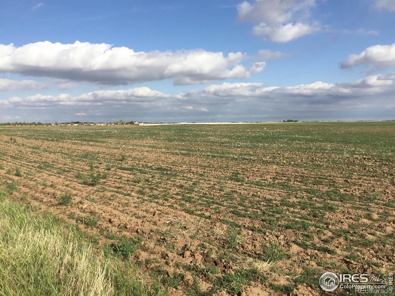 County Road 96 Rd, Nunn, CO 80648