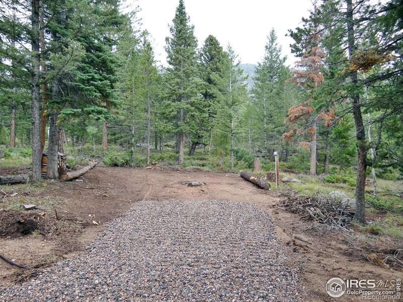 257 Jicarilla Trl, Red Feather Lakes, CO 80545