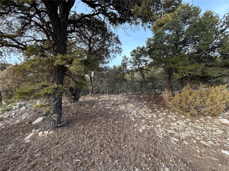 3593-3594 Splendid Way, Crestone, CO 81131