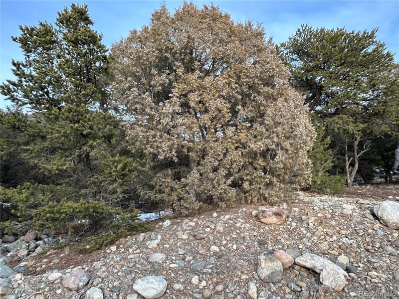 3593-3594 Splendid Way, Crestone, CO 81131