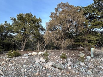 3593-3594 Splendid Way, Crestone, CO 81131