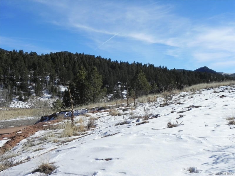 277 Gold King Dr, Cripple Creek, CO 80813