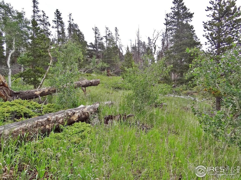 1683 Osage Trl, Red Feather Lakes, CO 80545