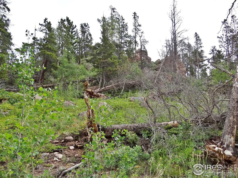 1683 Osage Trl, Red Feather Lakes, CO 80545