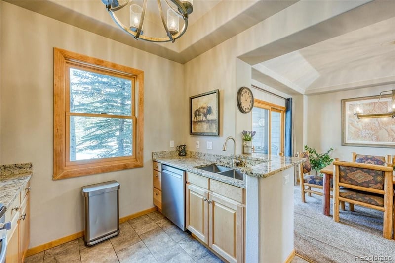 542 Northstar Dr #1955, Dillon, CO 80435