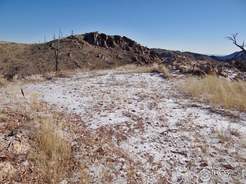 83 Bull Rock Ct, Livermore, CO 80536