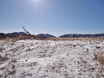 83 Bull Rock Ct, Livermore, CO 80536