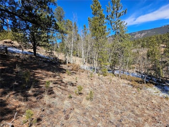 147 Ward St, Bailey, CO 80421