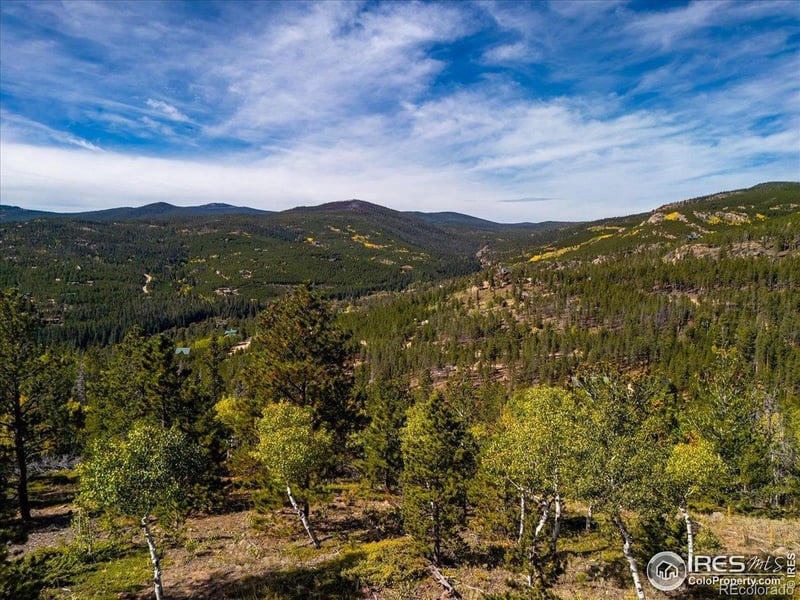 1601 Osage Trl, Red Feather Lakes, CO 80545