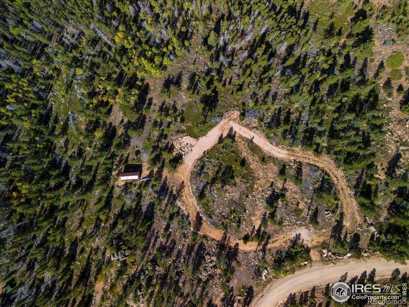 1601 Osage Trl, Red Feather Lakes, CO 80545