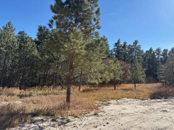 3715 El Rancho Way, Monument, CO 80132